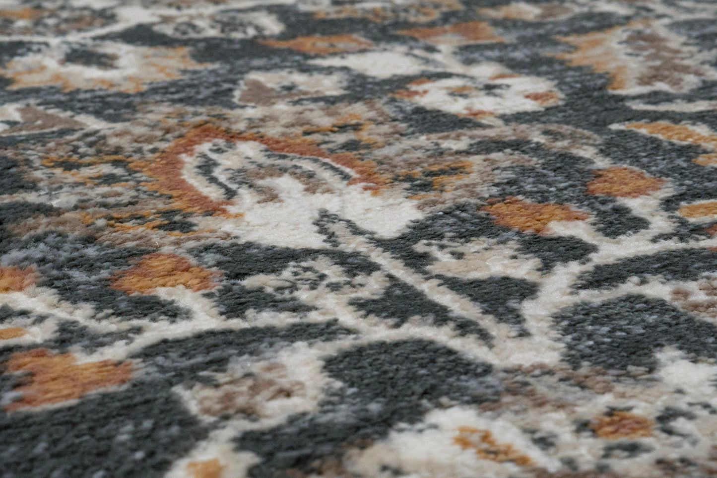 Charlotte 19905-999 Grey/Multi Area Rug