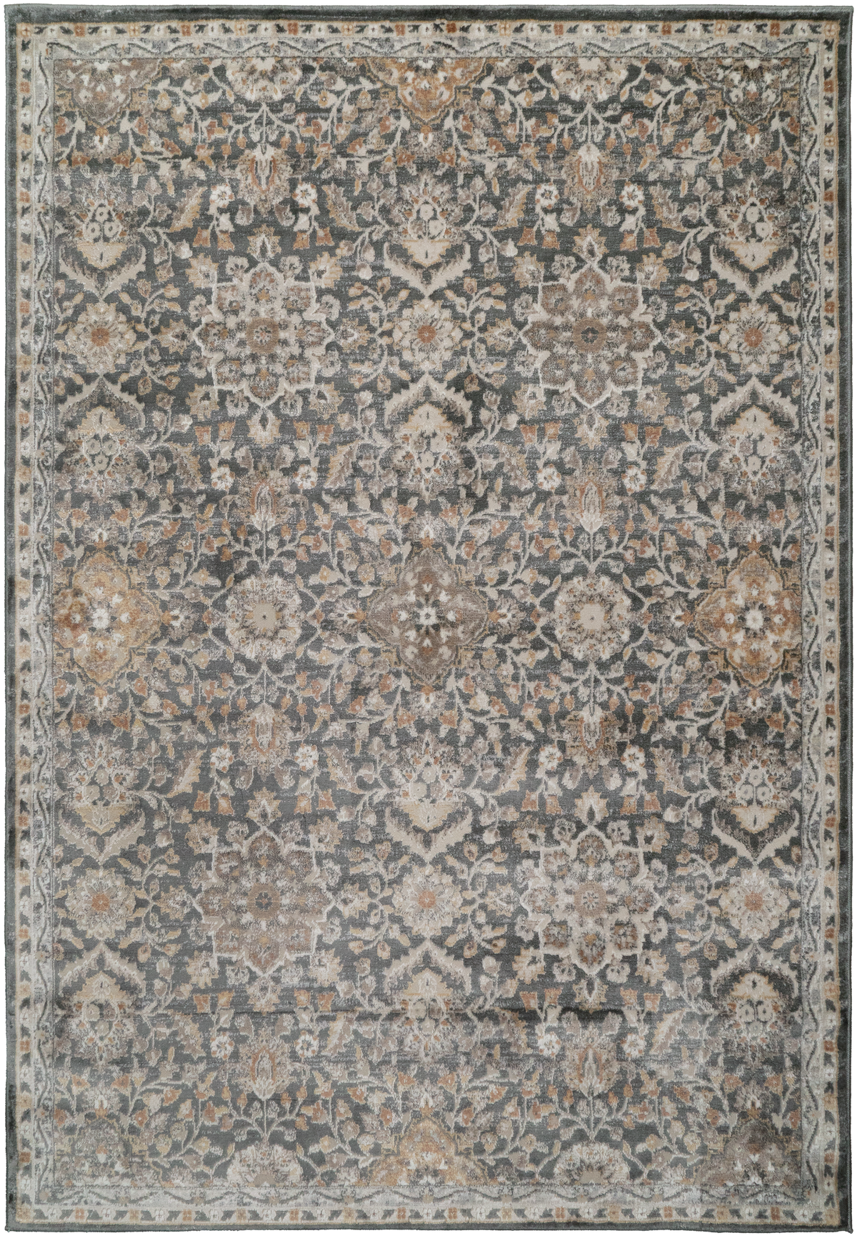 Charlotte 19905-999 Grey/Multi Area Rug