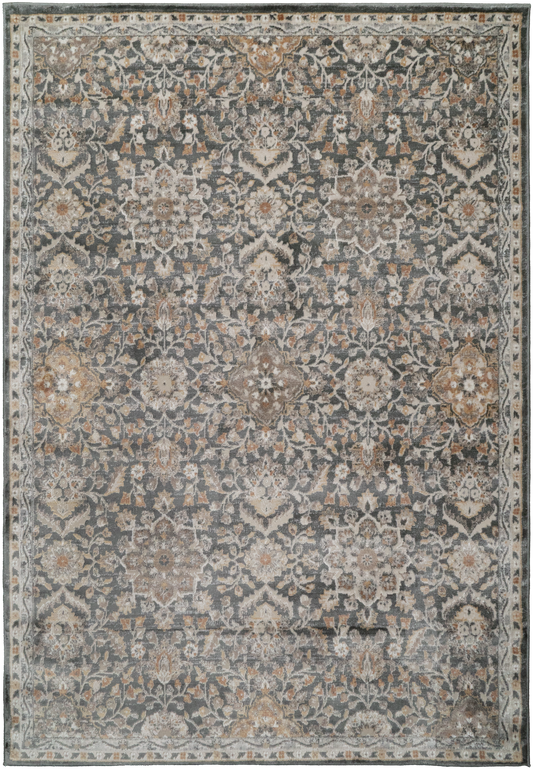 Charlotte 19905-999 Grey/Multi Area Rug