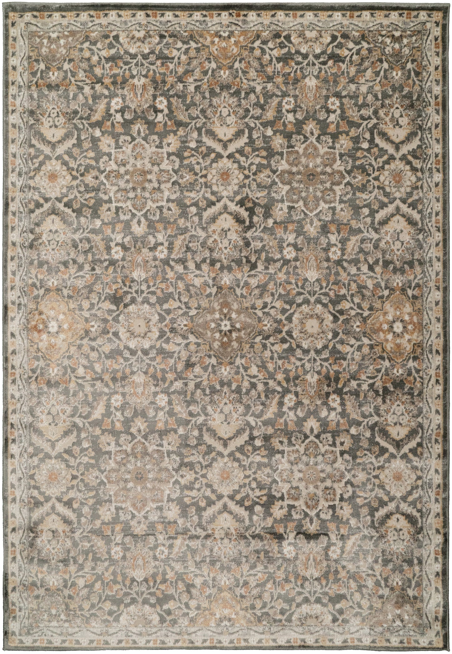Charlotte 19905-999 Grey/Multi Area Rug
