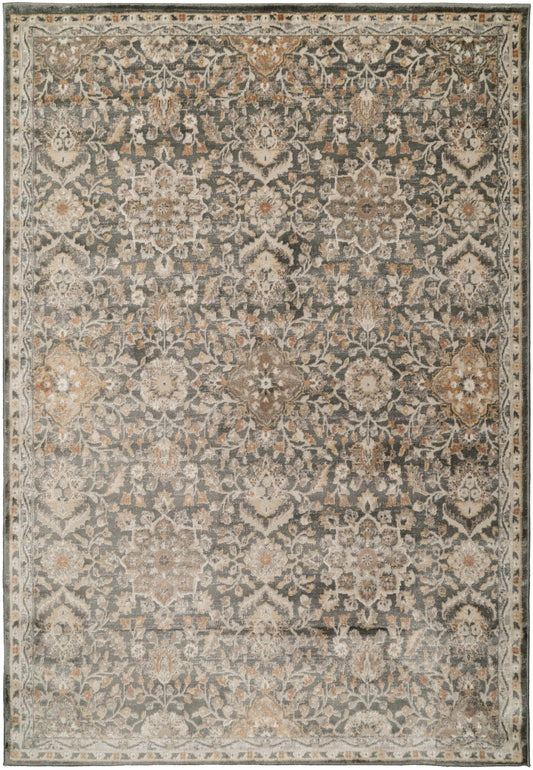 Charlotte 19905-999 Grey/Multi Area Rug