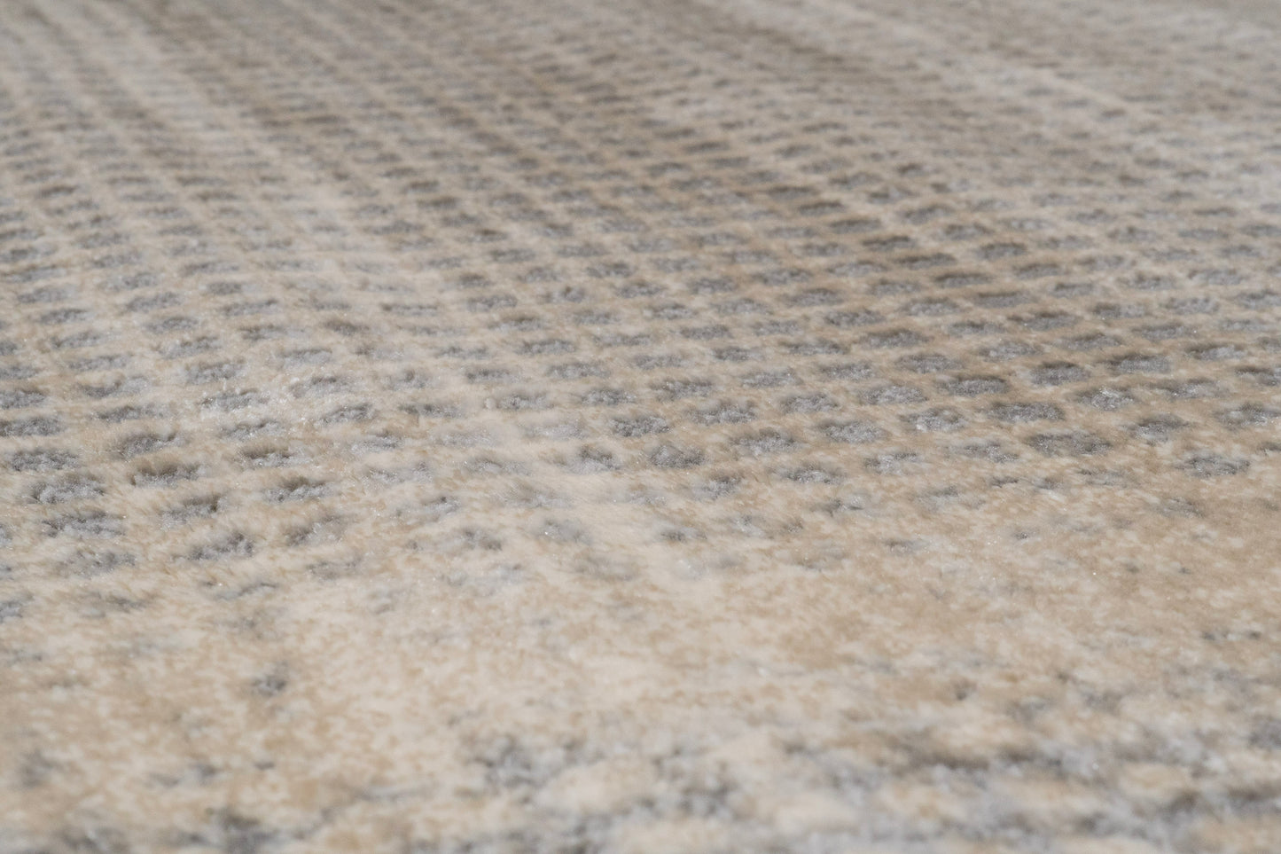 Cosmo 6835-890 Beige/Grey Area Rug