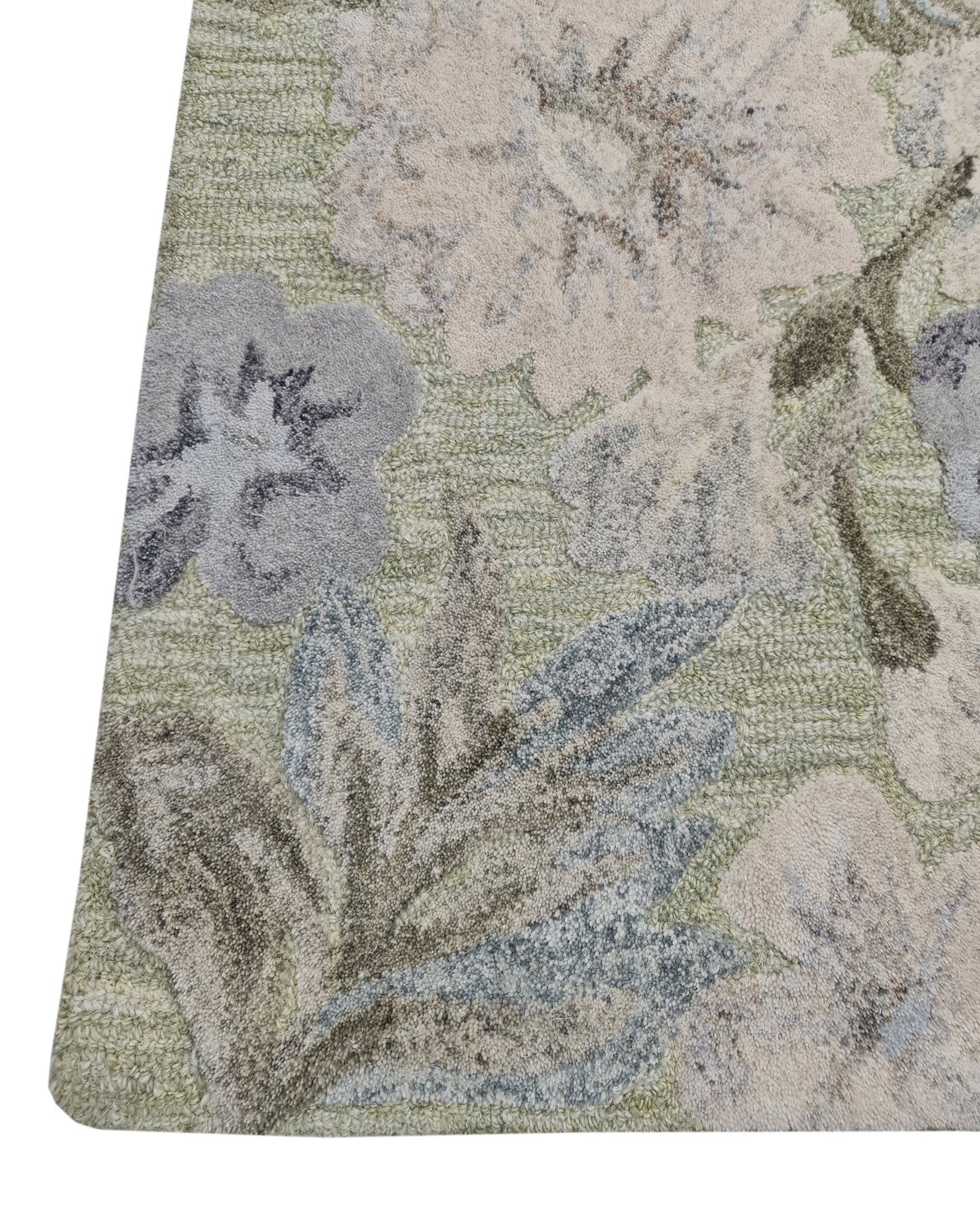 Daisy 9091-499 Light Green/Multi Area Rug