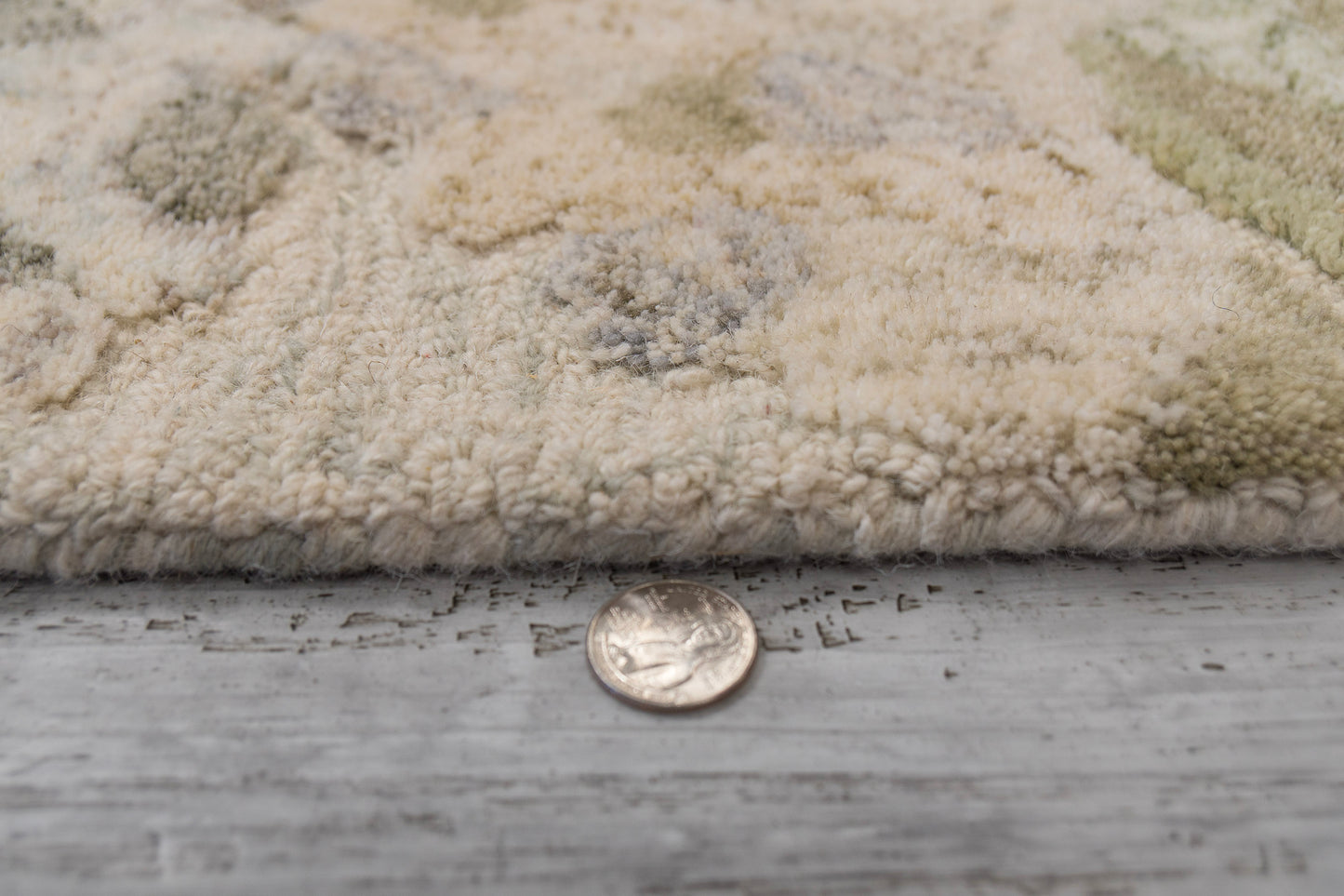 Daisy 9092-499 Sage/Multi Area Rug