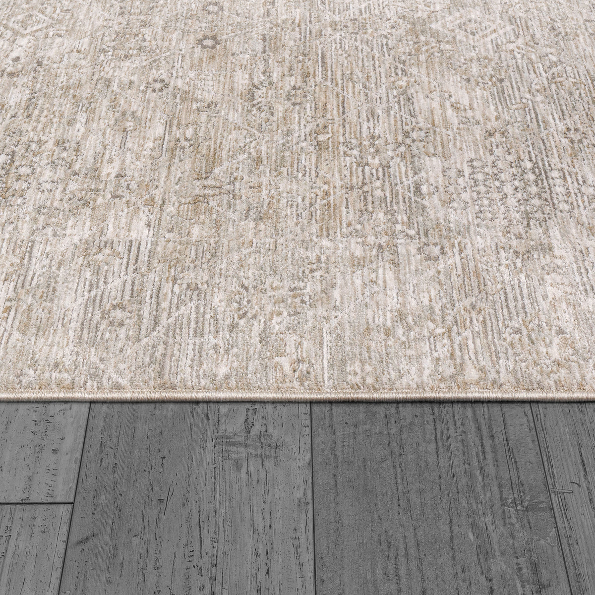 Dharma 12043-899 Beige/Multi Area Rug