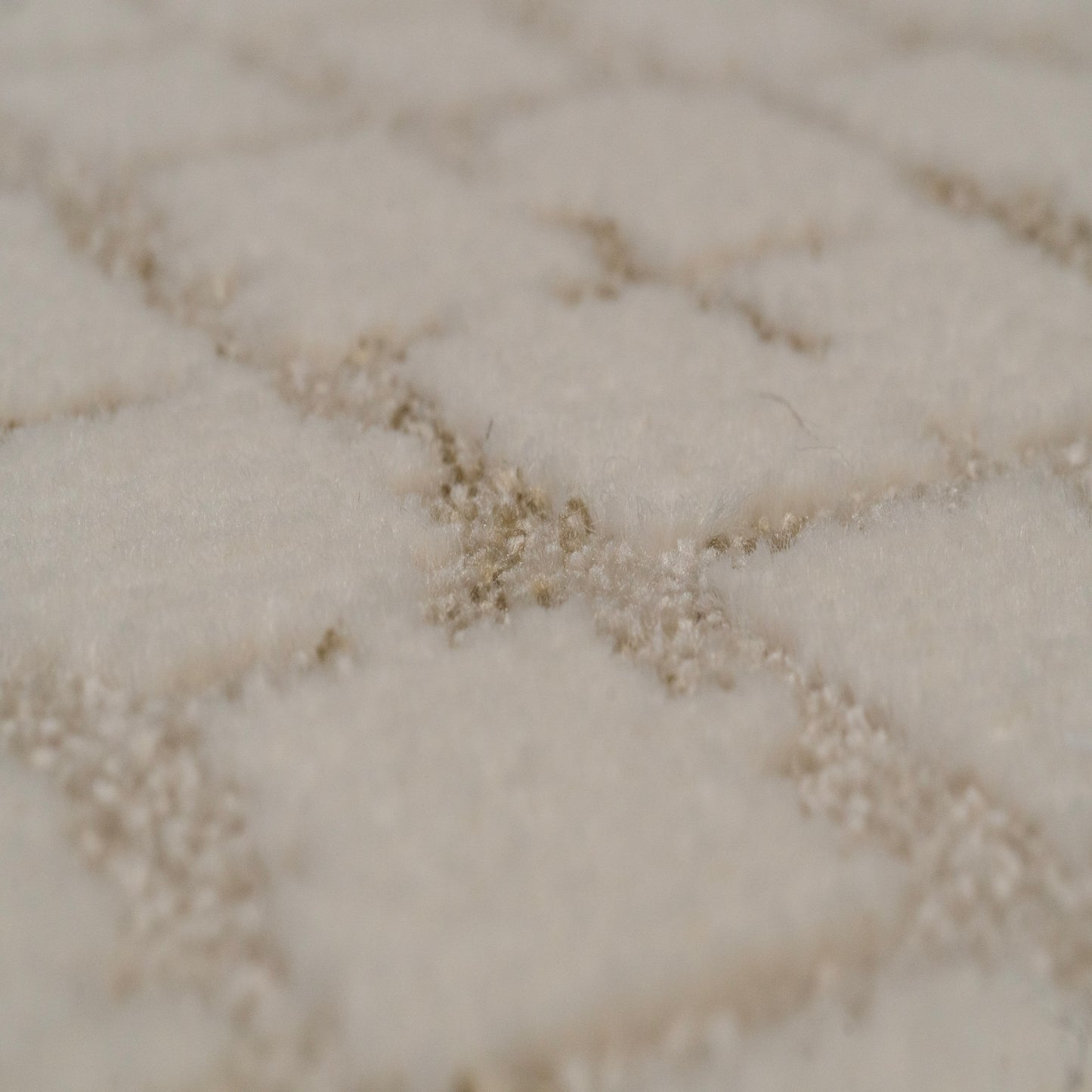 Harmony 59003-6595 Ivory/Beige Area Rug