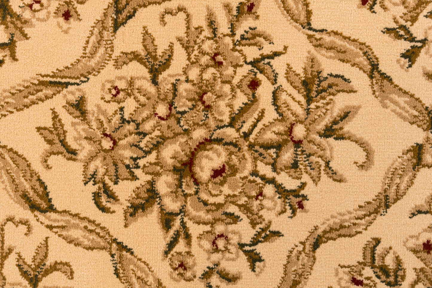 Legacy 58018-100 Ivory Area Rug