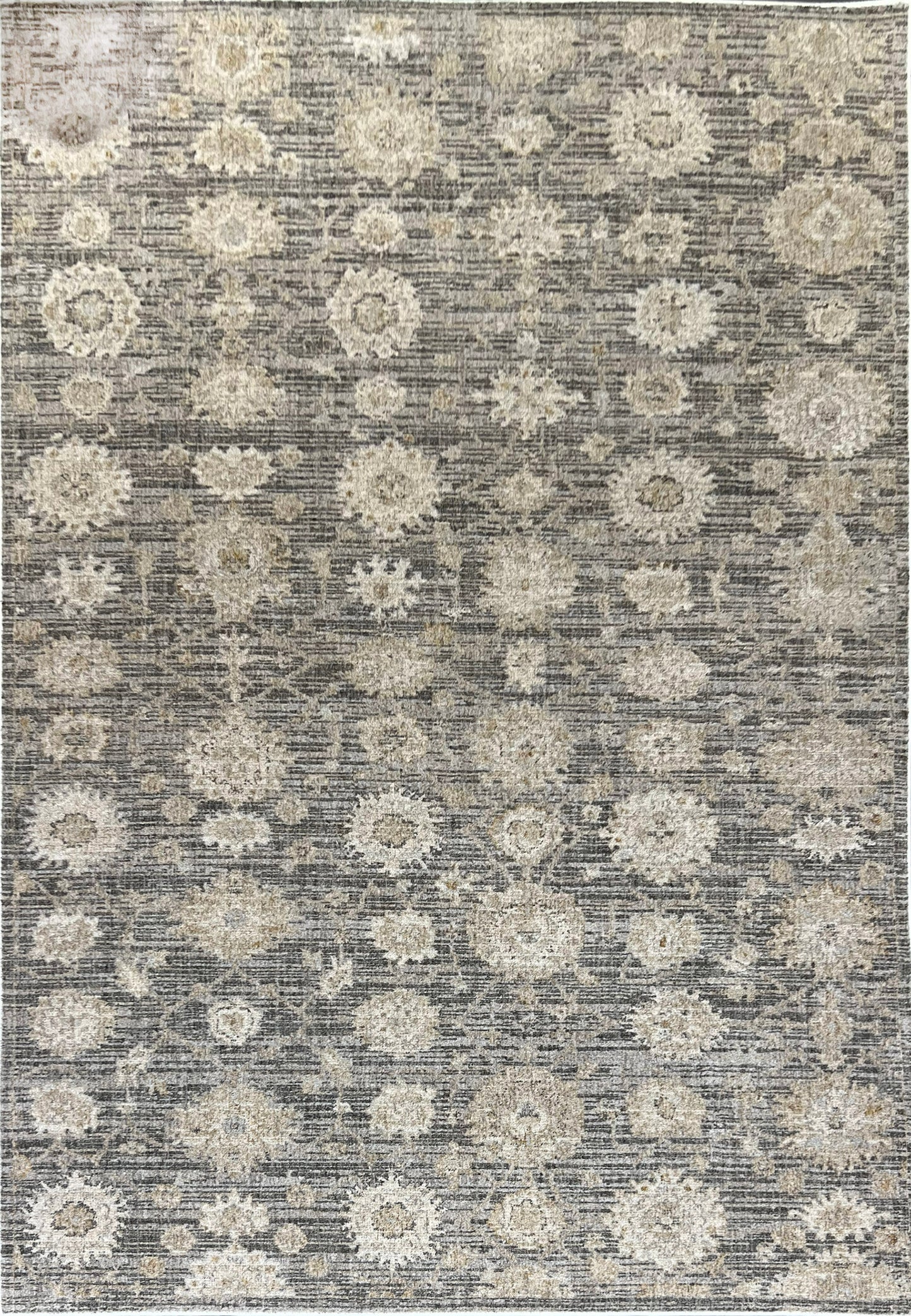Saffron 16616-899 Beige/Dark Grey Area Rug