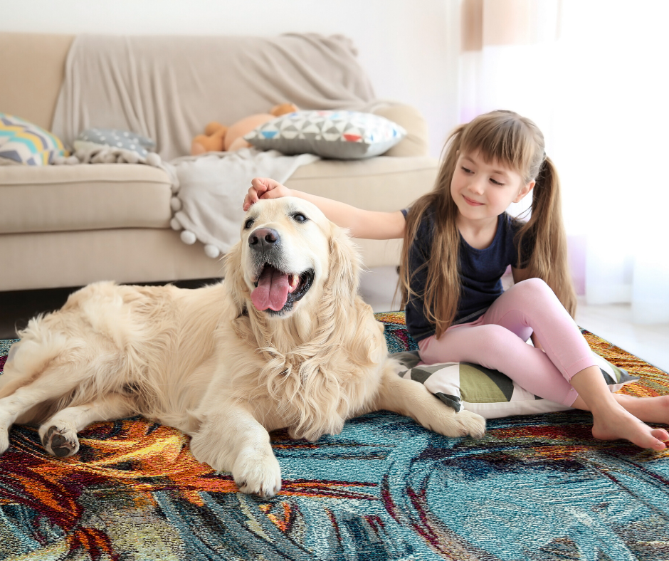 Homepage Image Buy Rugs Cheap