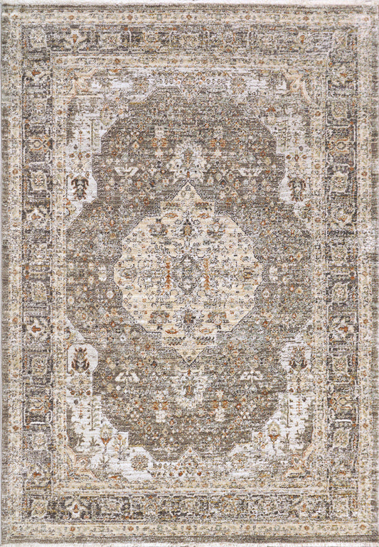 Rojin 4182-990 Grey/Dark Grey Area Rug