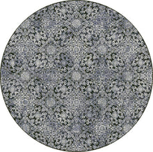 Load image into Gallery viewer, Dynamic Rugs Ancient Garden 57162-3696 Steel Blue Area Rug
