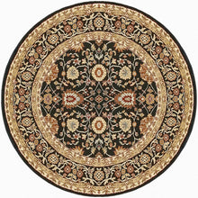 Load image into Gallery viewer, Dynamic Rugs Yazd 2803-090 Black Area Rug
