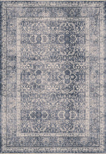 Load image into Gallery viewer, Dynamic Rugs Sirus 4909-999 Multi Area Rug
