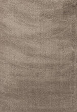 Load image into Gallery viewer, Dynamic Rugs Silky Shag 5900-115 Beige Area Rug
