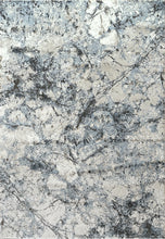 Load image into Gallery viewer, Dynamic Rugs Million 5848-995 Grey Area Rug
