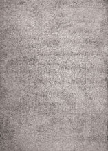 Load image into Gallery viewer, Dynamic Rugs Callie 4970-900 Grey Area Rug
