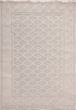 Load image into Gallery viewer, Dynamic Rugs Seville 3605-109 Ivory/Soft Grey Area Rug
