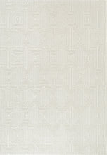 Load image into Gallery viewer, Dynamic Rugs Quin 41009-6161 Ivory Area Rug
