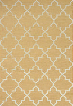 Load image into Gallery viewer, Dynamic Rugs Newport 96003-8008 Orange Area Rug
