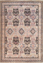 Load image into Gallery viewer, Dynamic Rugs Sirus 4910-999 Multi Area Rug
