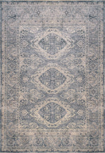 Load image into Gallery viewer, Dynamic Rugs Sirus 4906-999 Multi Area Rug
