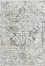 Load image into Gallery viewer, Dynamic Rugs Capella 7977-999 Grey/Multi Area Rug
