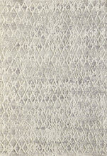 Load image into Gallery viewer, Dynamic Rugs Quartz 27039-111 Ivory/Silver Area Rug
