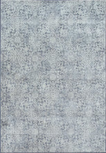Load image into Gallery viewer, Dynamic Rugs Ancient Garden 57162-4666 Light Blue Area Rug
