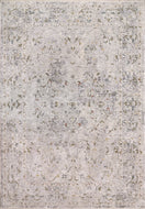 Dynamic Rugs Skyler 6711-999 Grey/Multi Area Rug