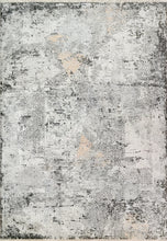 Load image into Gallery viewer, Dynamic Rugs Sunrise 6682-999 Grey/Charcoal/Multi Area Rug
