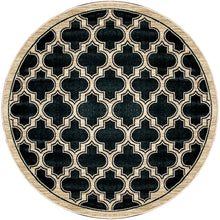 Load image into Gallery viewer, Dynamic Rugs Yazd 2816-090 Black Area Rug
