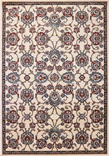 Load image into Gallery viewer, Dynamic Rugs Melody 985020-414 Ivory Area Rug
