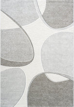 Load image into Gallery viewer, Dynamic Rugs Polaris 46004-6171 Ivory/Grey Area Rug
