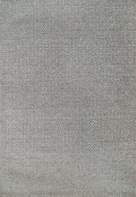 Load image into Gallery viewer, Dynamic Rugs Ray 4265-910 Silver Area Rug
