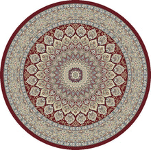 Load image into Gallery viewer, Dynamic Rugs Ancient Garden 57090-1484 Red Area Rug
