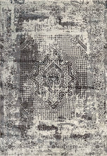 Load image into Gallery viewer, Dynamic Rugs Million 5850-995 Grey Area Rug
