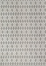 Load image into Gallery viewer, Dynamic Rugs Ray 4263-910 Silver Area Rug
