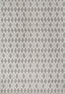 Dynamic Rugs Ray 4263-910 Silver Area Rug