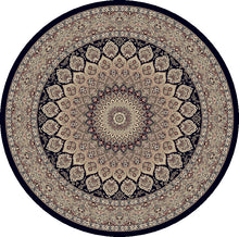 Load image into Gallery viewer, Dynamic Rugs Ancient Garden 57090-3484 Navy Area Rug
