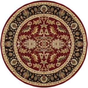 Dynamic Rugs Yazd 1744-310 Red Area Rug
