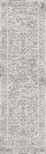 Load image into Gallery viewer, Dynamic Rugs Skyler 6713-999 Grey/Multi Area Rug

