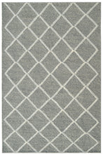 Load image into Gallery viewer, Dynamic Rugs Ava 5203-910 Grey/Ivory Area Rug
