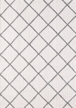 Load image into Gallery viewer, Dynamic Rugs Silky Shag 5920-110 Ivory/Silver Area Rug
