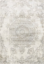 Load image into Gallery viewer, Dynamic Rugs Castilla 3558-195 Light Grey Area Rug
