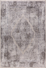 Load image into Gallery viewer, Dynamic Rugs Torino 3326-910 Silver/Grey Area Rug
