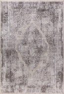 Dynamic Rugs Torino 3326-910 Silver/Grey Area Rug