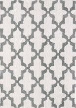 Load image into Gallery viewer, Dynamic Rugs Silky Shag 5906-110 White/Silver Area Rug
