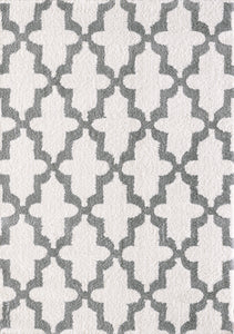 Dynamic Rugs Silky Shag 5906-110 White/Silver Area Rug