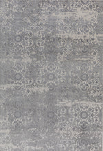 Load image into Gallery viewer, Dynamic Rugs Torino 3313-109 Light Grey Area Rug
