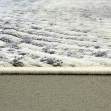 Load image into Gallery viewer, Dynamic Rugs Amelia 2851-890 Cream/Grey Area Rug

